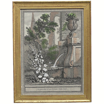 Fable la Mouche Gravure encadrée